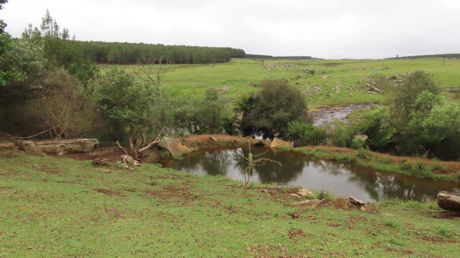 Lisbon Eco Lodge Graskop Ngoại thất bức ảnh